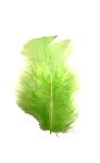 Plumes Duvet Coloris Vert - Boite de 5gr