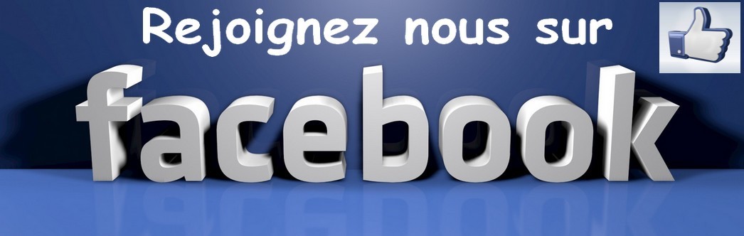 DACEBOOK MERCERIE DURAND