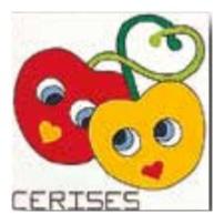 CANEVAS POUR ENFANT MODELE CERISES - KIT AVEC FILS - 20 x 20