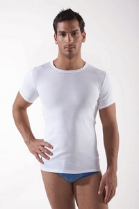 Tee-Shirt Ras de Cou pur Coton Blanc