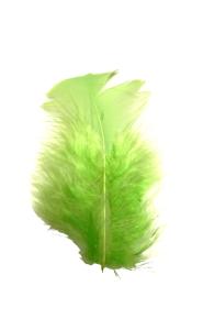 Plumes Duvet Coloris Vert - Boite de 5gr