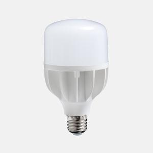 AMPOULE A LED DAYLIGHT- Faible consommation  - 18 Watt
