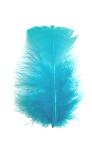 Plumes Duvet ColorisTurquoise - Boite de 5gr