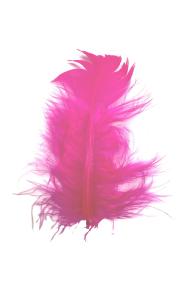 Plumes Duvet Coloris Fuchsia - Boite de 5gr