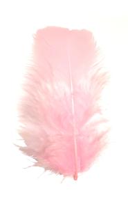 Plumes Duvet Coloris Rose - Boite de 5gr