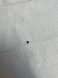 VIS SERRE AIGUILLE SURJETEUSE PFAFF COVERLOCK 3.0