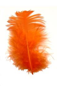 Plumes Duvet Coloris Orange - Boite de 5gr